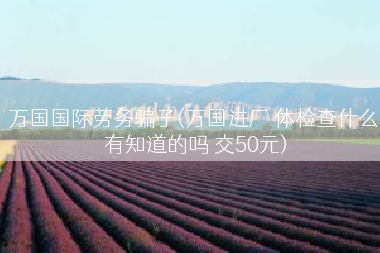 万国国际劳务骗子(万国进厂 体检查什么 有知道的吗 交50元)