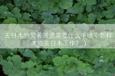 去日本的劳务派遣需要什么手续（怎样才能去日本工作？）