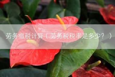 劳务缴税计算（劳务税税率是多少？）