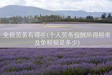 免税劳务有哪些(个人劳务报酬所得税率及免税额是多少)