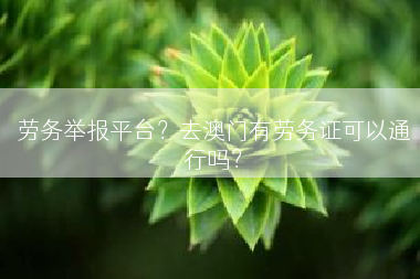 劳务举报平台？去澳门有劳务证可以通行吗？