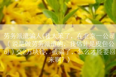 劳务派遣骗人(我太笨了，在北京一公司（说是做劳务派遣的，我估计是皮包公司）交2万块钱，被骗了，怎么才能要回来啊？)