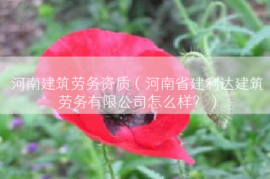 河南建筑劳务资质（河南省建利达建筑劳务有限公司怎么样？）