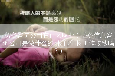 劳务咨询公司有什么职业（劳务信息咨询公司是做什么的?找他们找工作收钱吗?）