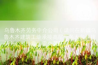 乌鲁木齐劳务中介公司（请问在新疆乌鲁木齐建筑工地承接高层劳务大包，找劳务公司挂靠，需交劳务税怎么算？税率是多少？）