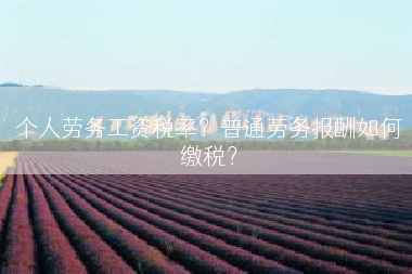 个人劳务工资税率？普通劳务报酬如何缴税？