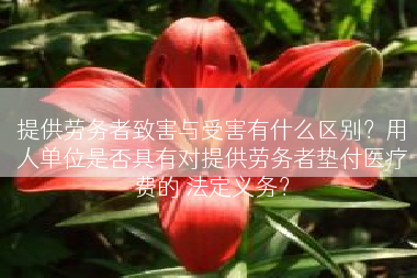 提供劳务者致害与受害有什么区别？用人单位是否具有对提供劳务者垫付医疗费的 法定义务？