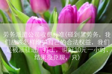 劳务派遣公司收费标准(碰到黑劳务，我们应该怎样维护自己的合法权益，我们是被派驻进厂打工，说好10元一小时，结果没兑现，只)