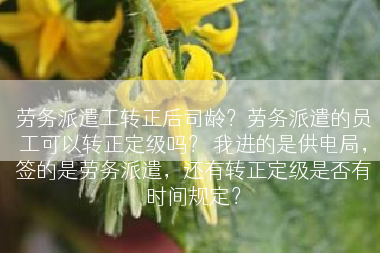 劳务派遣工转正后司龄？劳务派遣的员工可以转正定级吗？ 我进的是供电局，签的是劳务派遣，还有转正定级是否有时间规定？