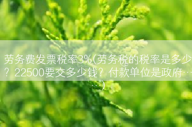 劳务费发票税率3%(劳务税的税率是多少？22500要交多少钱？付款单位是政府……)