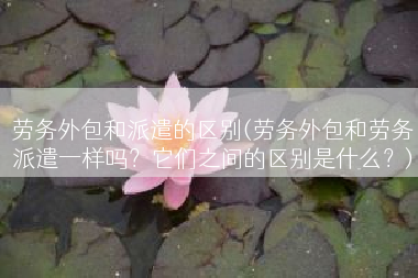 劳务外包和派遣的区别(劳务外包和劳务派遣一样吗？它们之间的区别是什么？)