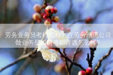 劳务业务员考核指标？在劳务派遣公司做业务员的前景和待遇怎么样？