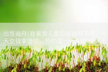 出货迪拜(我家里人要出国迪拜劳务，今天交钱拿签证，给的是一张A3的纸，上面是)