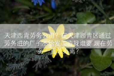天津西青劳务公司？在天津西青区通过劳务进的厂子不给发工资找谁要 现在劳务一直让办离？