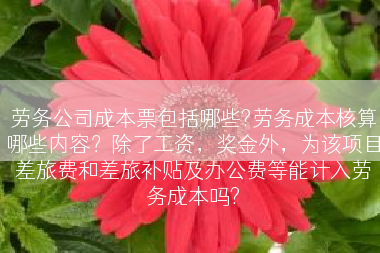 劳务公司成本票包括哪些?劳务成本核算哪些内容？除了工资，奖金外，为该项目差旅费和差旅补贴及办公费等能计入劳务成本吗?