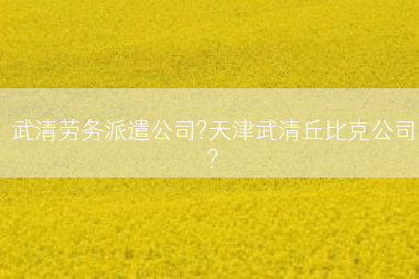 武清劳务派遣公司?天津武清丘比克公司?