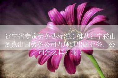 辽宁省专家劳务费标准（谁从辽宁鞍山澳嘉出国劳务公司办理过出国业务，公司怎么样？谢）