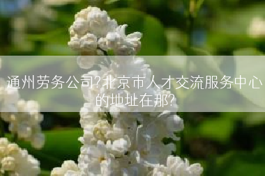 通州劳务公司?北京市人才交流服务中心的地址在那?