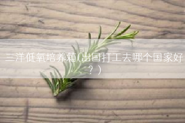 三洋低氧培养箱(出国打工去哪个国家好？)
