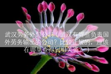 武汉劳务外包公司（武汉有哪些负责国外劳务输出的公司？比较正规的，应该在哪里查得到相关资？）