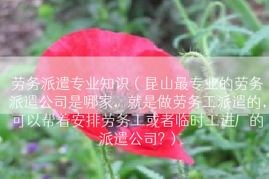 劳务派遣专业知识（昆山最专业的劳务派遣公司是哪家，就是做劳务工派遣的，可以帮着安排劳务工或者临时工进厂的派遣公司?）