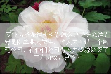 专业劳务派遣机构？怎么算劳务派遣？我是刚毕业大学生。昨天去面试一个制药公司，在他们公司得人力资源处签了三方协议，算不？