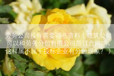 劳务公司投标需要哪些资料（建筑公司可以和劳务分包有限公司签订合同吗。这样属不属于投标企业有分包现象？）