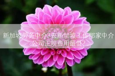 新加坡劳务中介?去新加坡工作那家中介公司正规费用最低?