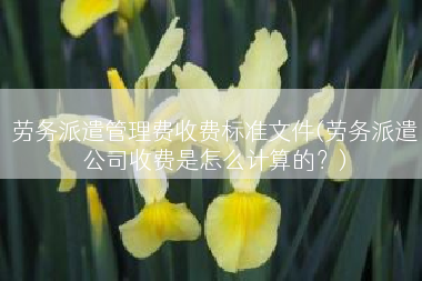 劳务派遣管理费收费标准文件(劳务派遣公司收费是怎么计算的？)