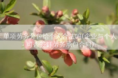 单项劳务分包给个人合法吗(企业与个人可否签订劳务承包合同)