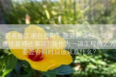 劳务施工承包合同？签劳务承包合同应该注意哪些事项? 我作为一项工程的乙方要签合同时应该注意什么？