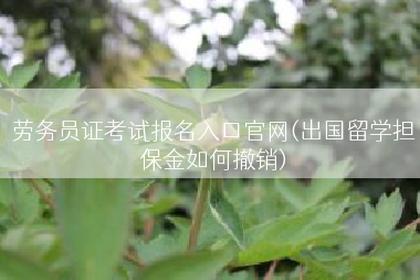 劳务员证考试报名入口官网(出国留学担保金如何撤销)
