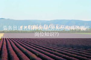 劳务员证书有什么用(劳务员应具备哪些岗位知识?)