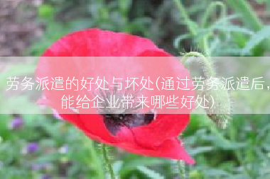劳务派遣的好处与坏处(通过劳务派遣后，能给企业带来哪些好处)