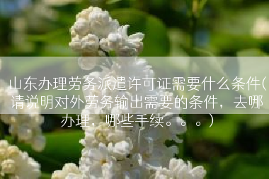山东办理劳务派遣许可证需要什么条件(请说明对外劳务输出需要的条件，去哪办理，哪些手续。。。)