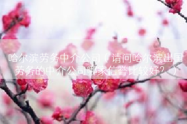 哈尔滨劳务中介公司（请问哈尔滨出国劳务的中介公司哪家信誉比较好？）