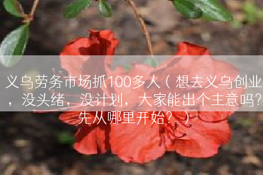 义乌劳务市场抓100多人（想去义乌创业，没头绪，没计划，大家能出个主意吗？先从哪里开始？）