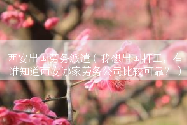 西安出国劳务派遣（我想出国打工，有谁知道西安哪家劳务公司比较可靠？）