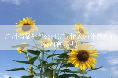 广州档案外包公司(广州it人力外包大的公司有哪些)