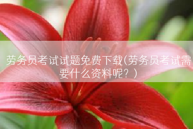 劳务员考试试题免费下载(劳务员考试需要什么资料呢？)