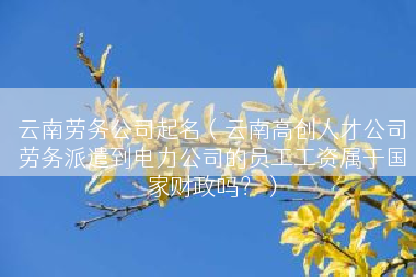 云南劳务公司起名（云南高创人才公司劳务派遣到电力公司的员工工资属于国家财政吗？）
