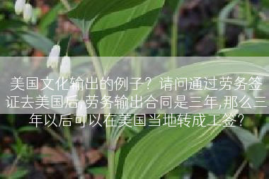 美国文化输出的例子？请问通过劳务签证去美国后,劳务输出合同是三年,那么三年以后可以在美国当地转成工签？