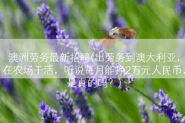 澳洲劳务最新招聘(出劳务到澳大利亚，在农场干活，听说每月能挣2万元人民币，是真的吗？)