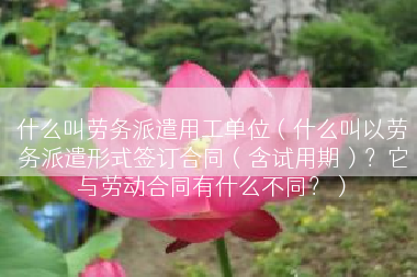 什么叫劳务派遣用工单位（什么叫以劳务派遣形式签订合同（含试用期）？它与劳动合同有什么不同？）