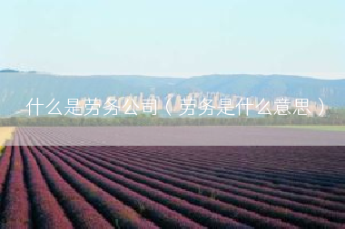 什么是劳务公司（劳务是什么意思）