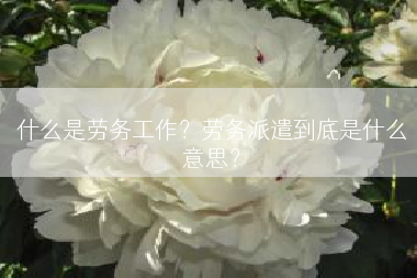 什么是劳务工作？劳务派遣到底是什么意思？