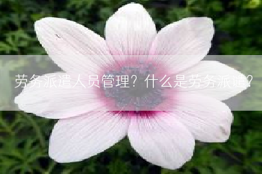 劳务派遣人员管理？什么是劳务派谴？