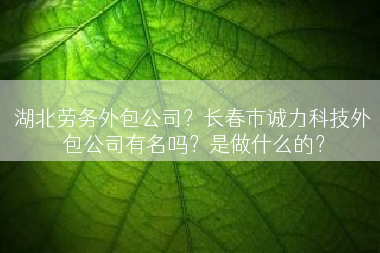湖北劳务外包公司？长春市诚力科技外包公司有名吗？是做什么的？