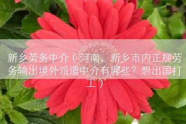 新乡劳务中介（河南，新乡市内正规劳务输出境外派遣中介有哪些？想出国打工）