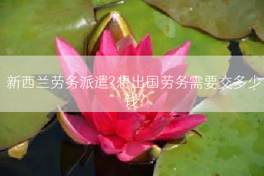 新西兰劳务派遣?想出国劳务需要交多少钱?